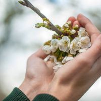  V dubnu se sezona rozb&iacute;h&aacute; naplno, seznam nejdůležitěj&scaron;&iacute;ch prac&iacute;!