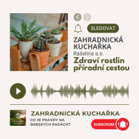  Zdraví rostlin přírodní cestou a co je pravdy na babských radách?